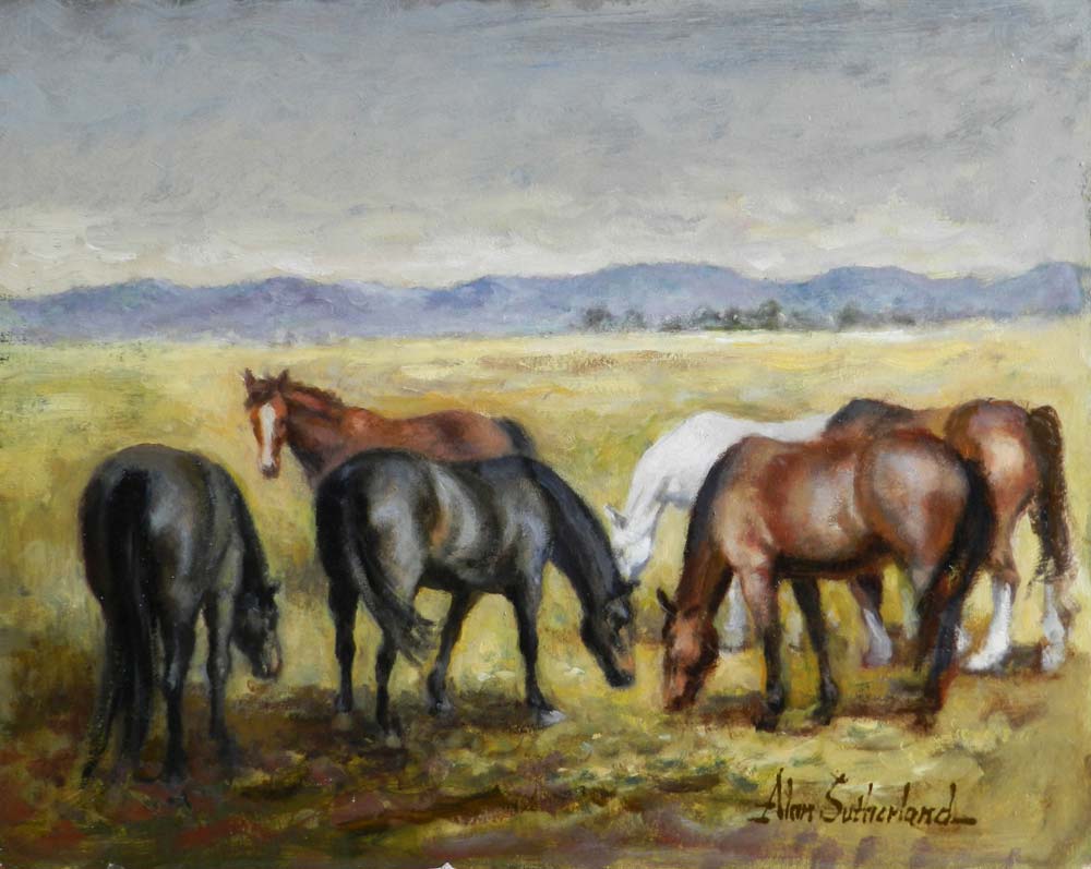 Horses on the Braid Hills